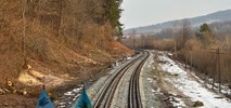 Koleje Ukraińskie wyremontowały dwie linie kolejowe do polskiej granicy