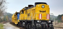 Torpol z najwyższym zyskiem w swojej historii