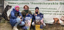 Fundacja Cemex: Świąteczne wsparcie dla bezdomnych zwierząt