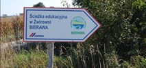 Tam, gdzie natura mówi po cichu – Bierawa zaprasza uczniów i odkrywców