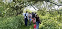 W pogoni za motylami – Cemex i BMLAB: „Poznaj Motyle” chronią cenne gatunki