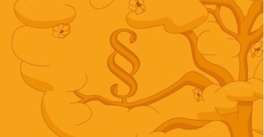 Unijne Rozporządzenie o „odbudowie przyrody” a inwestycje mieszkaniowe i drogowe 