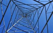 Energa: 755 mln zł zysku netto w 2011 r.