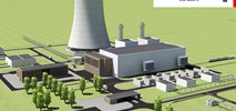 Zielone światło dla elektrowni Puławy