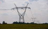 Poznań: Enea dostarczy energię elektryczną dla ponad 60 podmiotów