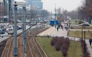 Warszawa: Osiem ofert na projekt i budowę ul. Marynarskiej