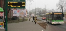 Zielona Góra na razie bez elektryków i przegubowców. Zapowiedź nowego przetargu