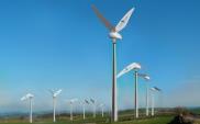 Turbina wiatrowa jak koliber. Cichsza i bezpieczna dla ptaków