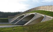 A2 Świecko – Nowy Tomyśl, czyli przejście dla zwierząt średnio co 700 m