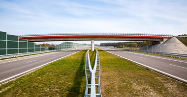 Którą niewybudowaną drogą jeździ najwięcej pojazdów?