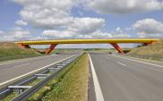 S3 Bolków – Lubawka skierowana do przetargu