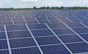 Lubuskie: Powstała elektrownia słoneczna za 10 mln zł