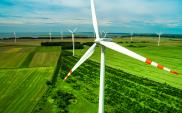 Giganci energetyczni nie będą rozwijać energetyki wiatrowej. Wyłamuje się PGE