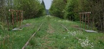 Linia kolejowa do Białowieży zostanie zrewitalizowana