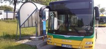 Tychy znów próbują kupić gazowe autobusy MIDI
