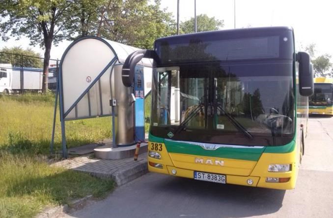 Tychy znów próbują kupić gazowe autobusy MIDI