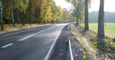 Świętokrzyskie: Rusza przetarg na DW-728 Łopuszno – DK-74