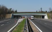 GDDKiA zaprasza do składania ofert na S7 na północ od Krakowa