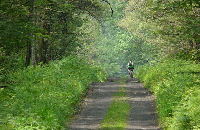 Sąd Najwyższy: Pijanemu rowerzyście nie zabiera się prawa jazdy