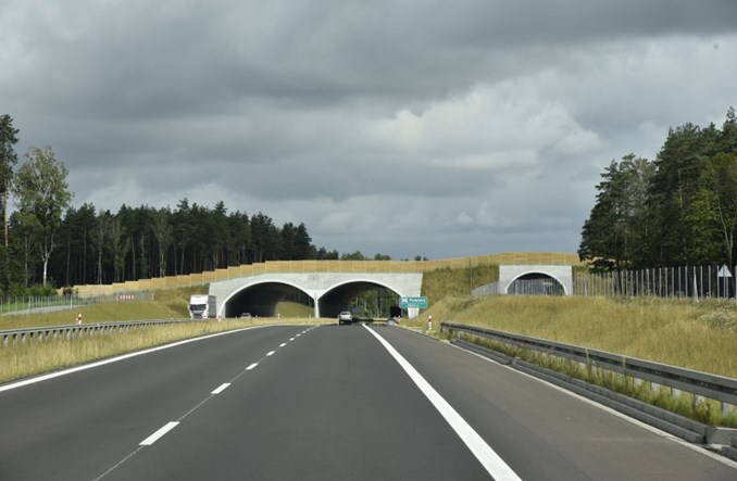 GDDKiA Olsztyn. Leśnicy pomogą w tworzeniu przejść dla zwierząt