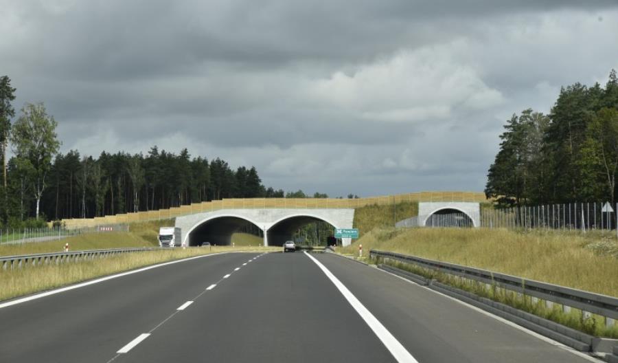 GDDKiA Olsztyn. Leśnicy pomogą w tworzeniu przejść dla zwierząt GDDKiA Olsztyn. Leśnicy pomogą w tworzeniu przejść dla zwierząt