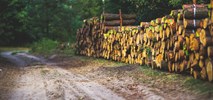 Źle liczymy wagę drewna. Jego transport niszczy drogi 