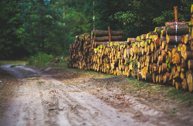 Źle liczymy wagę drewna. Jego transport niszczy drogi 