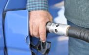 BP Polska: połączenie Orlenu i Lotosu może być niekorzystne dla rynku