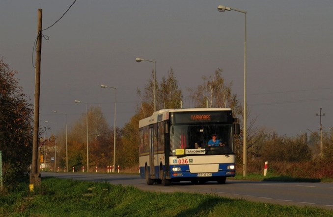 Tarnobrzeg. Czterej przewoźnicy walczą o obsługę komunikacji