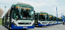 Kraków. Volvo dostarczyło 12 przegubowych autobusów hybrydowych