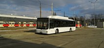 Duże opóźnienie MAN-a z autobusami dla Częstochowy