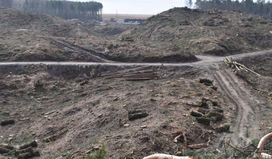 Około 20 zainteresowanych budową przekopu Mierzei Wiślanej Około 20 zainteresowanych budową przekopu Mierzei Wiślanej