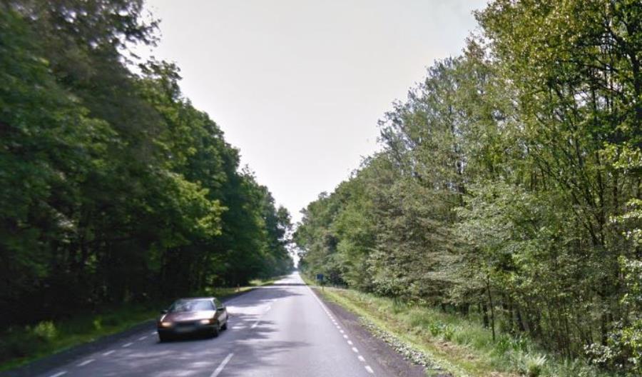Wielkopolska. Wyremontują drogę krajową nr 11 Wielkopolska. Wyremontują drogę krajową nr 11