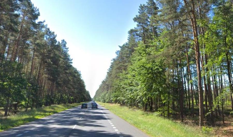 Ruszyła budowa S3 na północ od Szczecina Ruszyła budowa S3 na północ od Szczecina