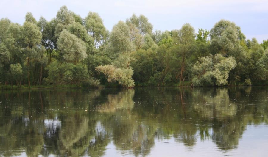 Będzie dotacja dla budowy mostu na Bugu w powiecie siemiatyckim Będzie dotacja dla budowy mostu na Bugu w powiecie siemiatyckim