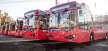 Mendoza. Kolejne chińskie elektrobusy w Ameryce Południowej