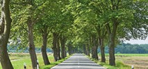 Wołów: nowy przetarg na przebudowę drogi wojewódzkiej nr 338
