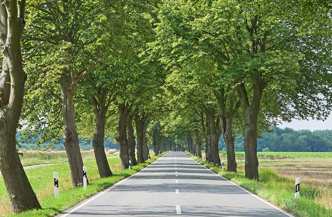 Wołów: nowy przetarg na przebudowę drogi wojewódzkiej nr 338