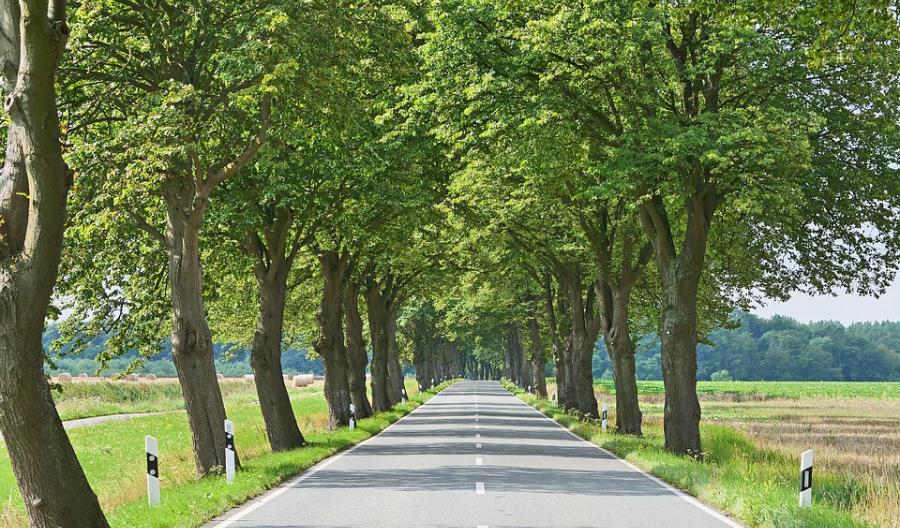 Wołów: nowy przetarg na przebudowę drogi wojewódzkiej nr 338 Wołów: nowy przetarg na przebudowę drogi wojewódzkiej nr 338