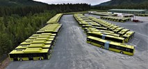Trondheim. MAN dostarczy 189 autobusów. Większość na gaz