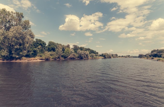 Projekt stopnia wodnego Ścinawa na Odrze