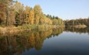 Most nad rzeką Potok Leśniówka. Opracowanie dokumentacji