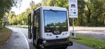 Gdańsk: Sukces pierwszej w Polsce autonomicznej linii autobusowej