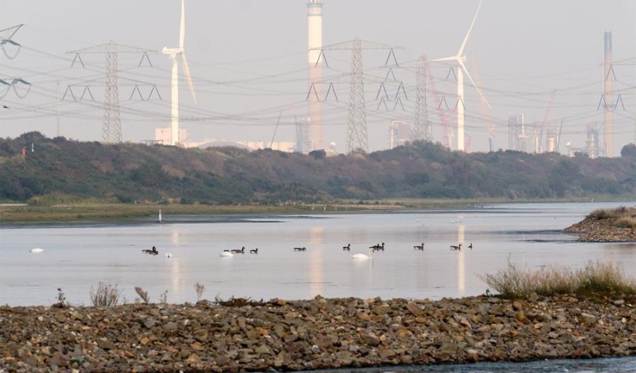 Port Rotterdam rozwija się wraz z miastem Port Rotterdam rozwija się wraz z miastem