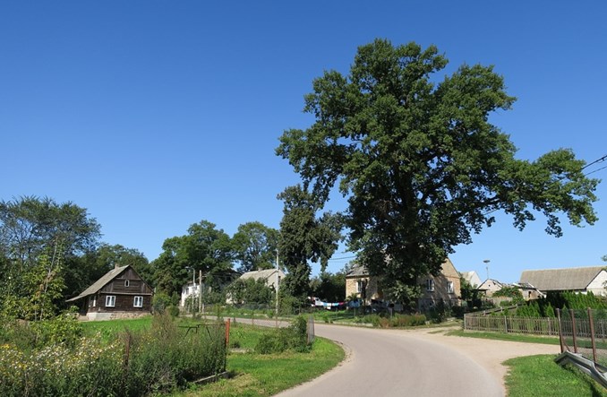 Podlaskie: Prom na Biebrzy działa dzięki... wsparciu parku narodowego