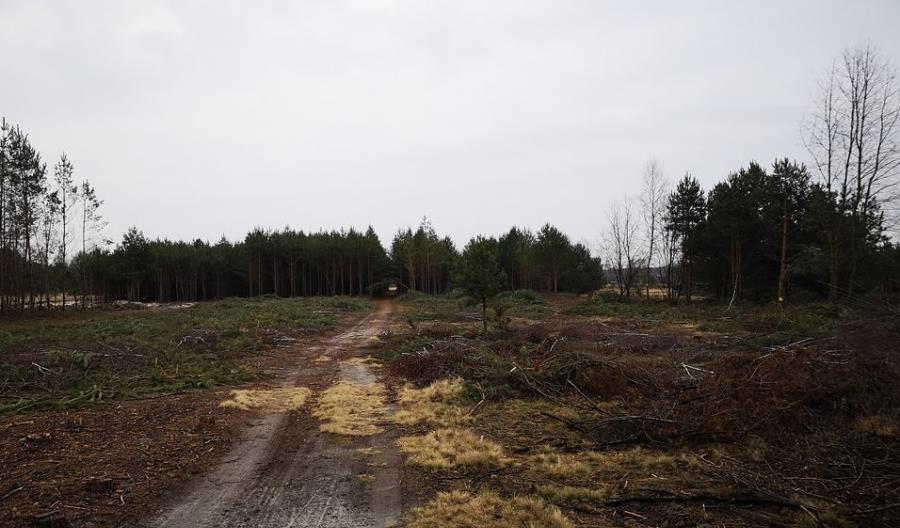 Ruszyła budowa S19 Nisko – Podgórze Ruszyła budowa S19 Nisko – Podgórze