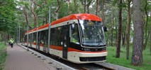 Gdańsk: Tramwaj testowo na trasie do plaży na Stogach [zdjęcia]