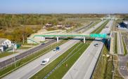 GDDKiA: Od początku roku ogłosiliśmy przetargi na 249 km dróg. Licznik wzrośnie