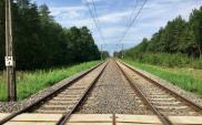 ZOPI: Przetarg na kolejową część CPK narusza równowagę stron