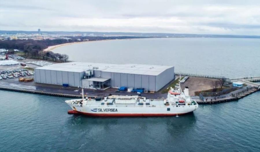 Do Portu Gdańsk dotarł transport ryb z Wielkiej Brytanii. Pierwszy po Brexicie Do Portu Gdańsk dotarł transport ryb z Wielkiej Brytanii. Pierwszy po Brexicie